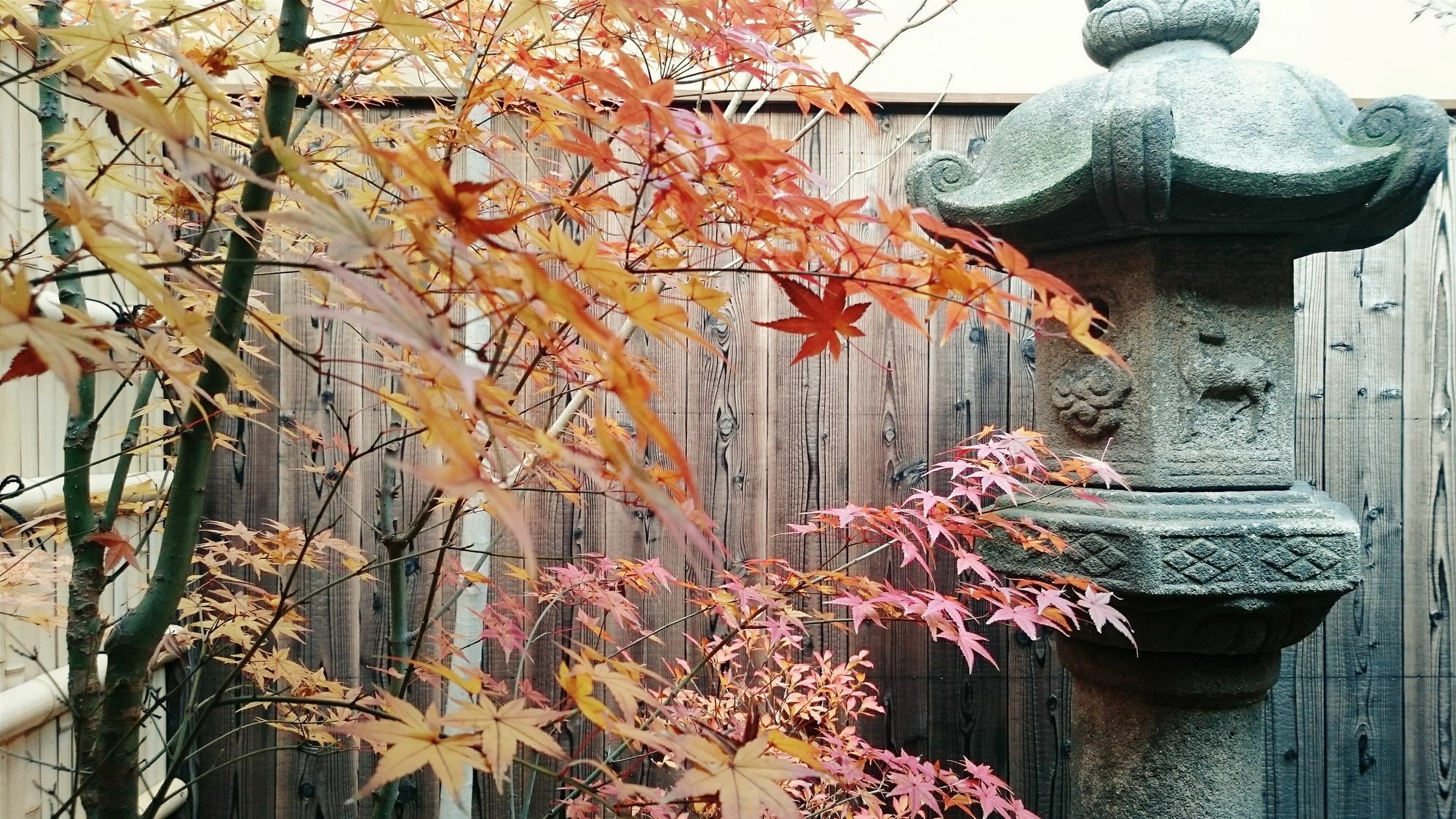 Guest House Bokuyado Kioto Exterior foto